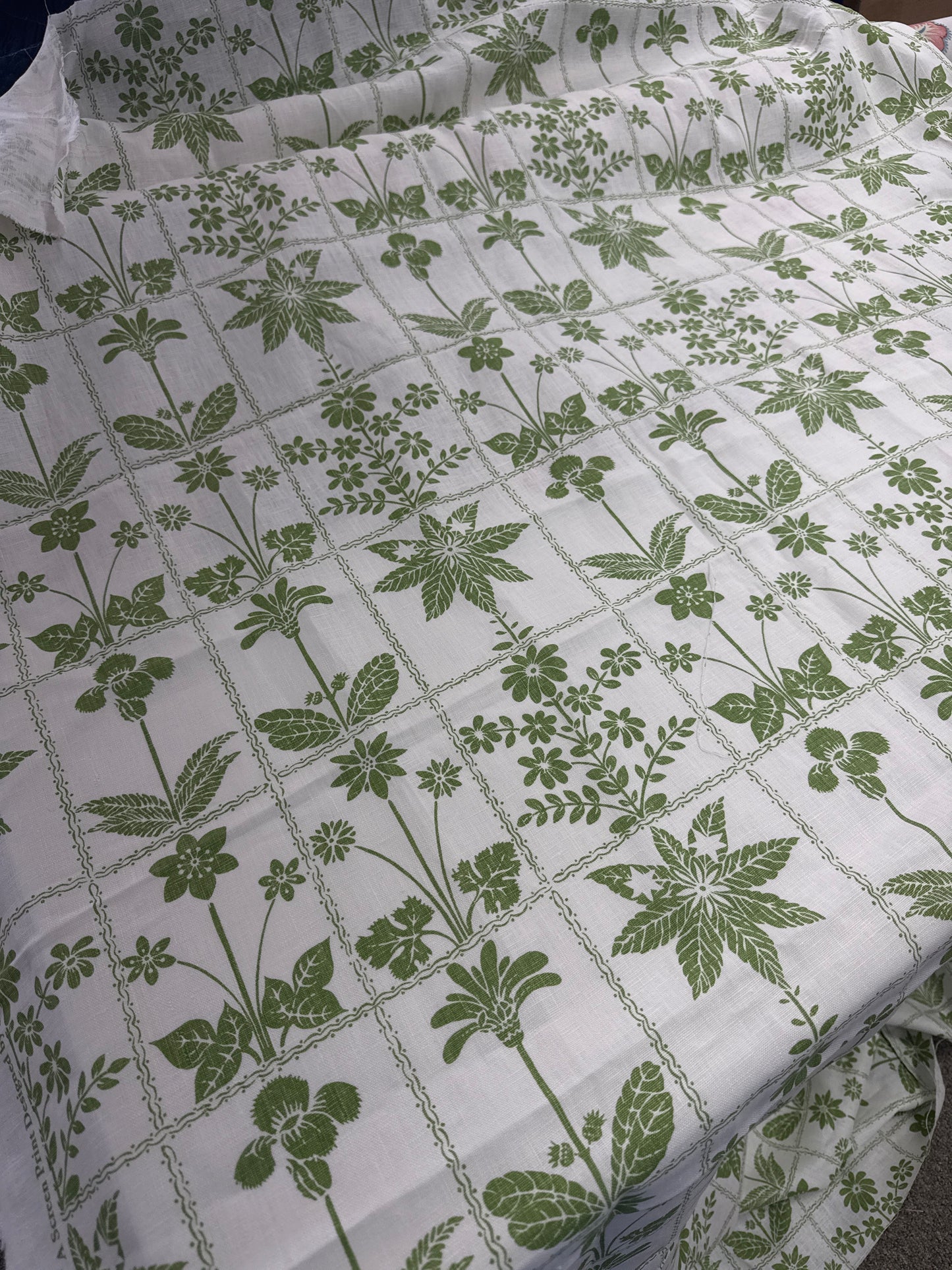 Schumacher, Georgia wildflowers, 0.75