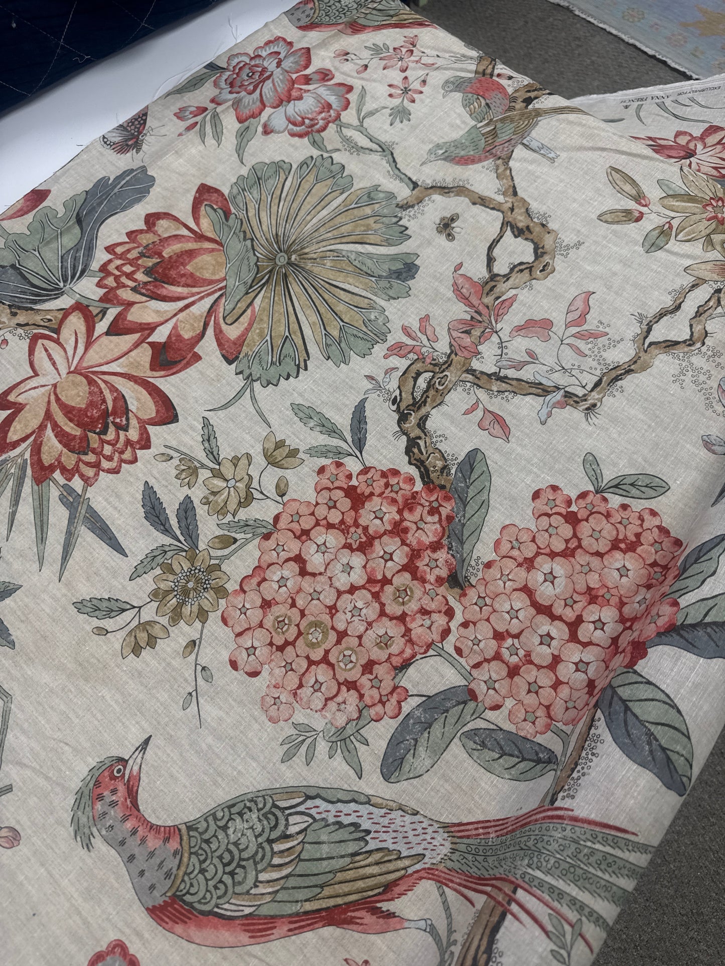 Anna French, Villeneuve, 1.5 yards