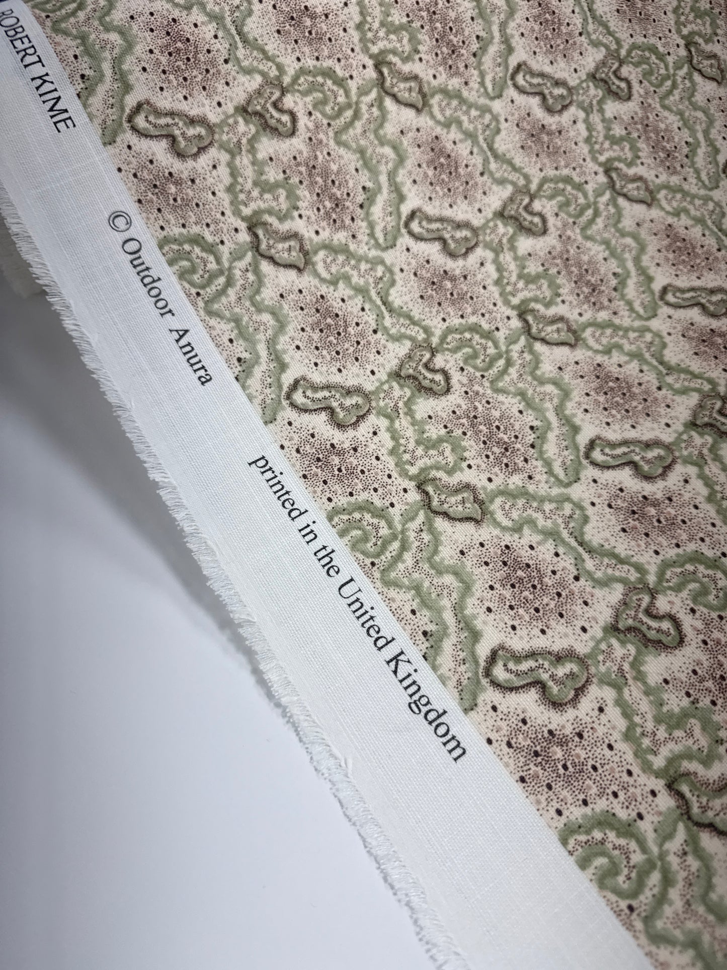 Robert Kime, indoor/outdoor, anura, by the yard