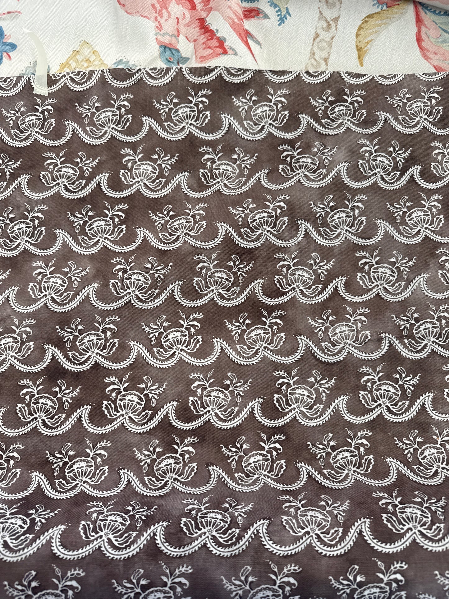 Zak + Fox, cassiopea, 2.6 yards