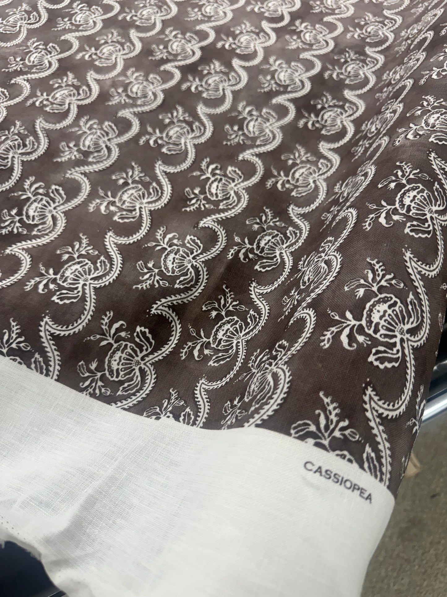 Zak + Fox, cassiopea, 1 yard
