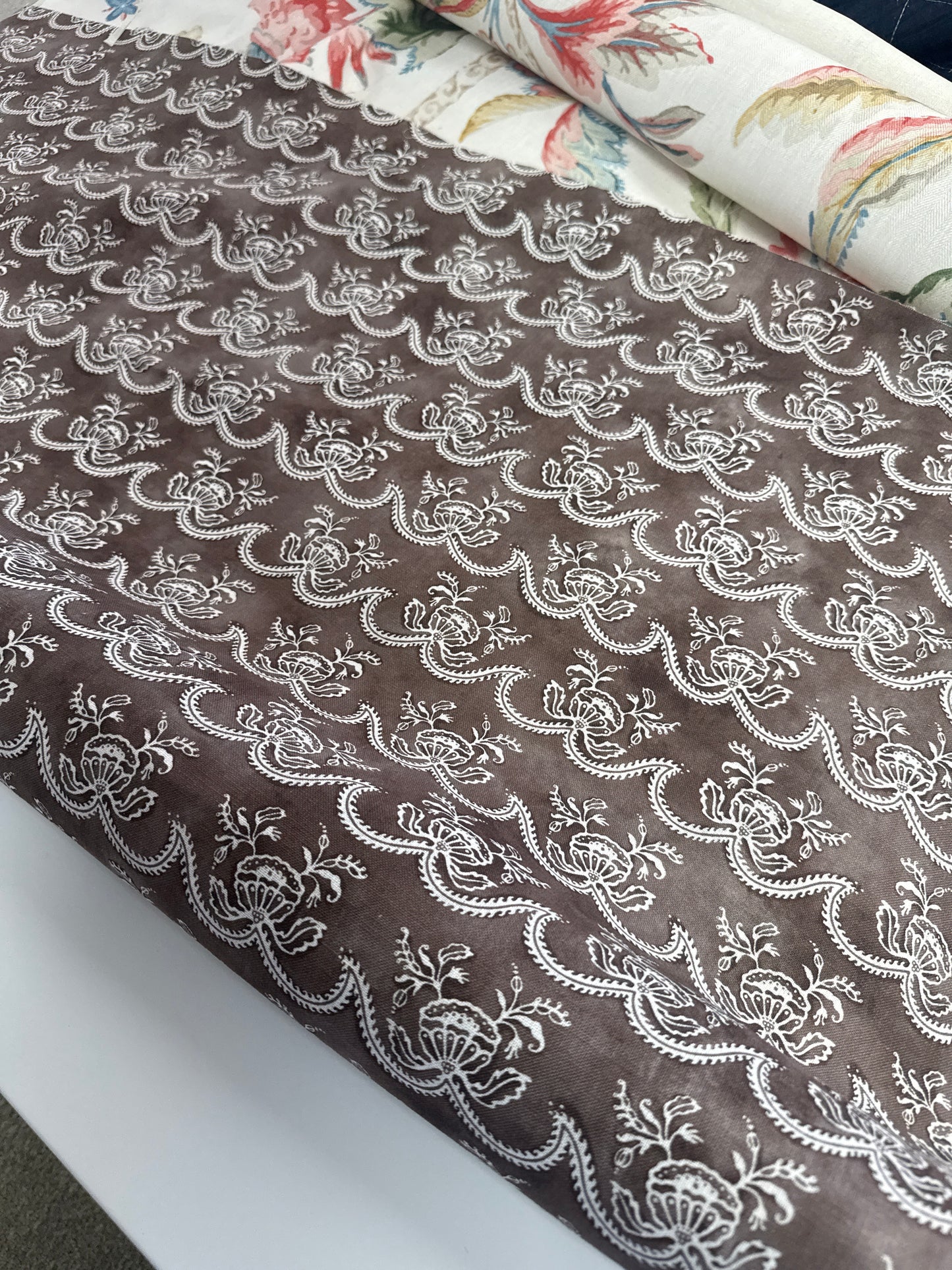 Zak + Fox, cassiopea, 2.6 yards