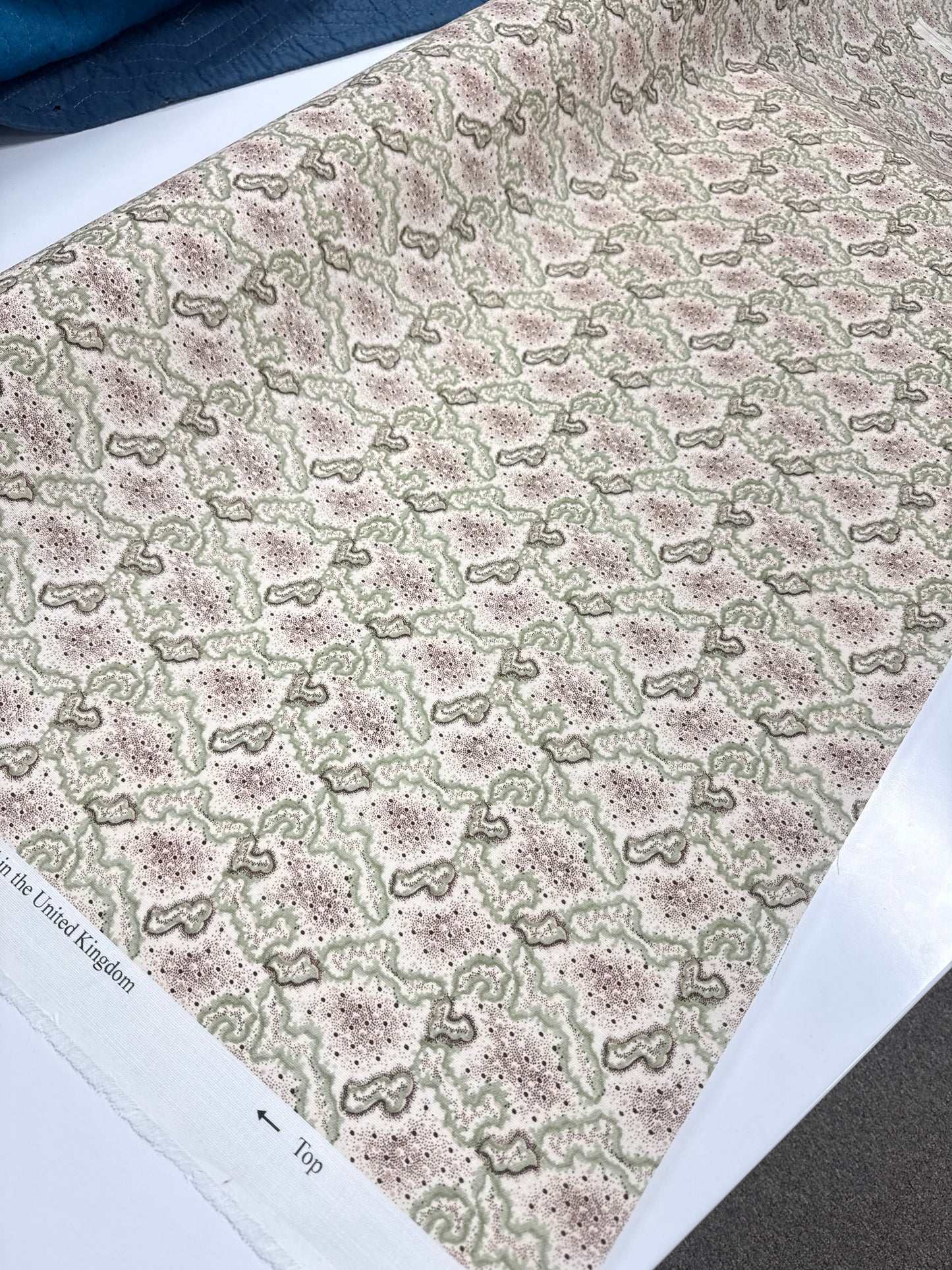 Robert Kime, indoor/outdoor, anura, by the yard