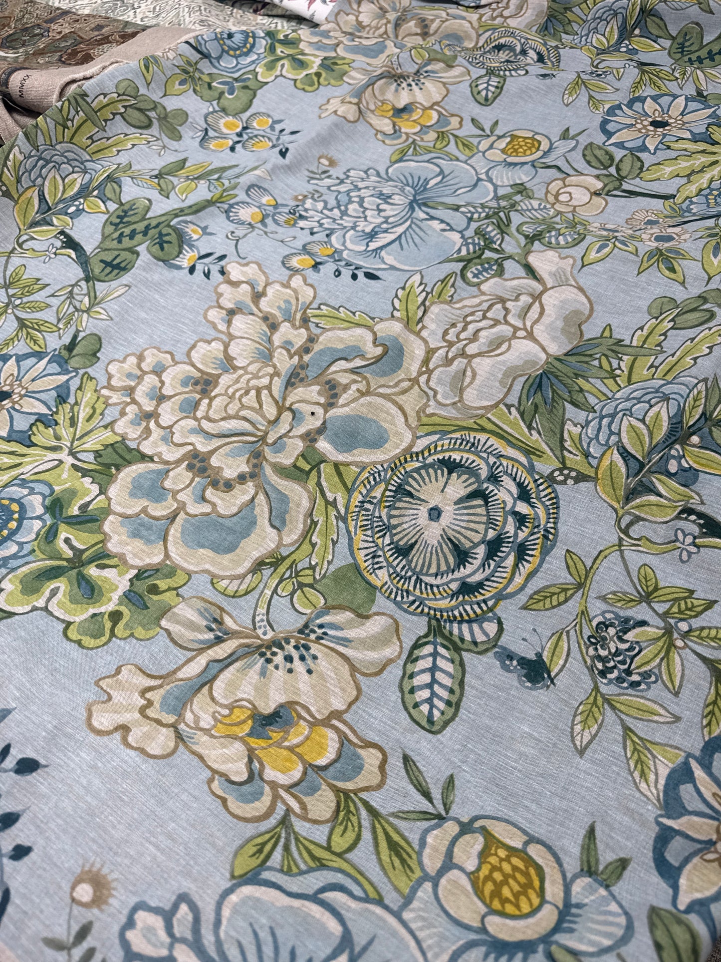 Thibaut, peony garden, 2 yards
