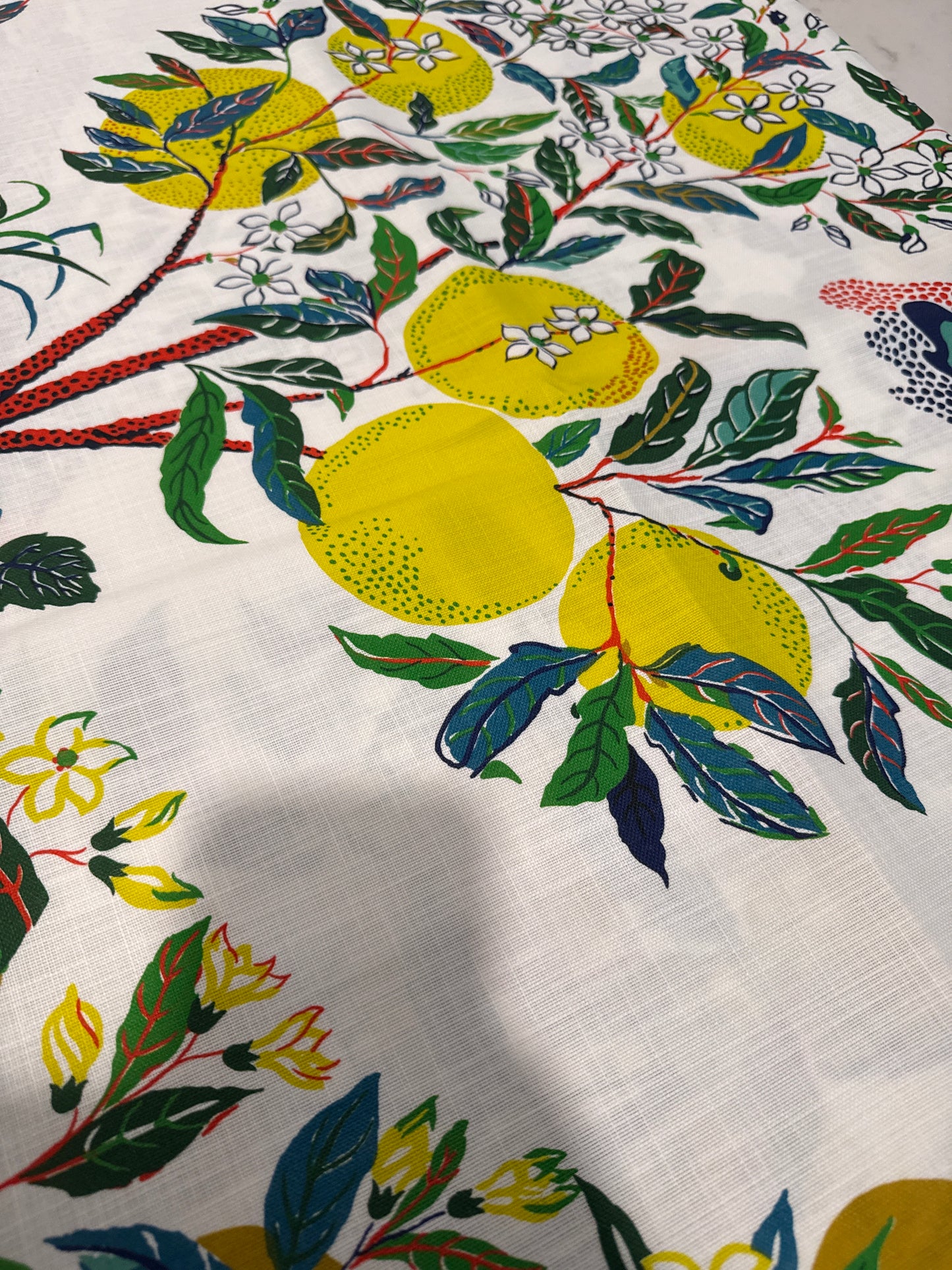 Schumacher, Citrus Garden, 2.1 yards