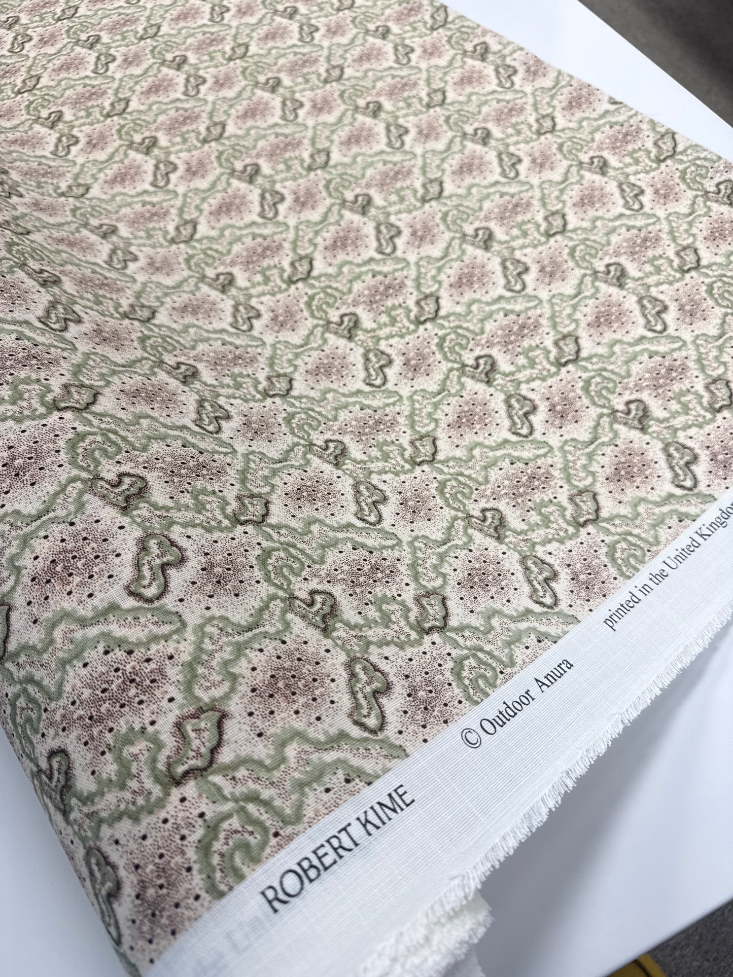 Robert Kime, indoor/outdoor, anura, by the yard