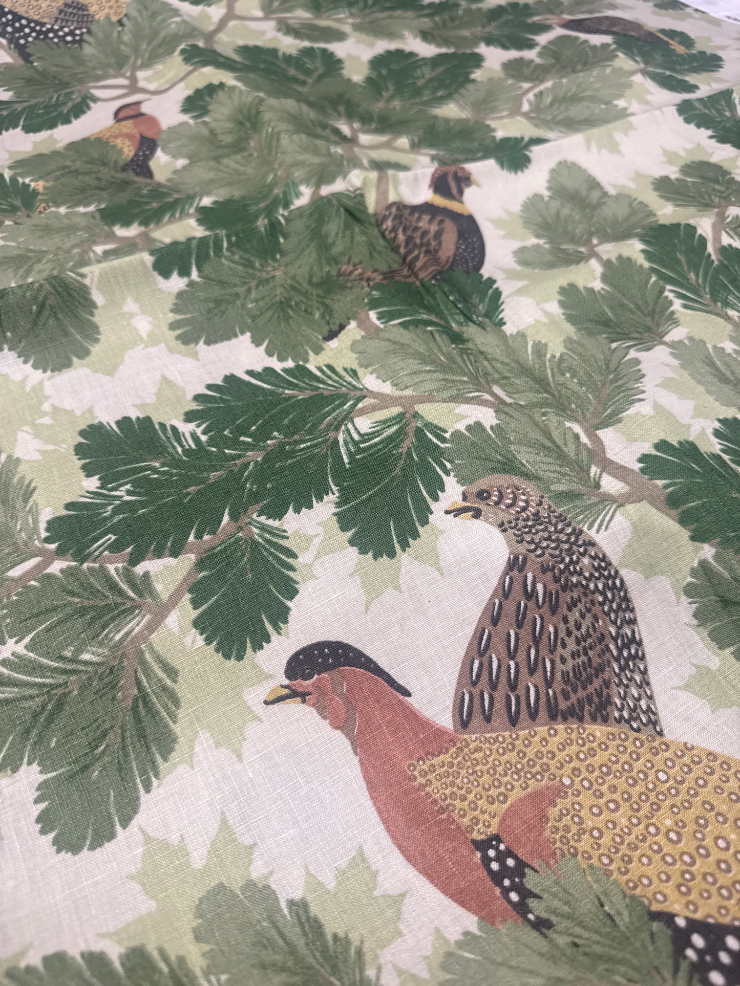 Schumacher, Covey Hedge Pine, 2.2 yards