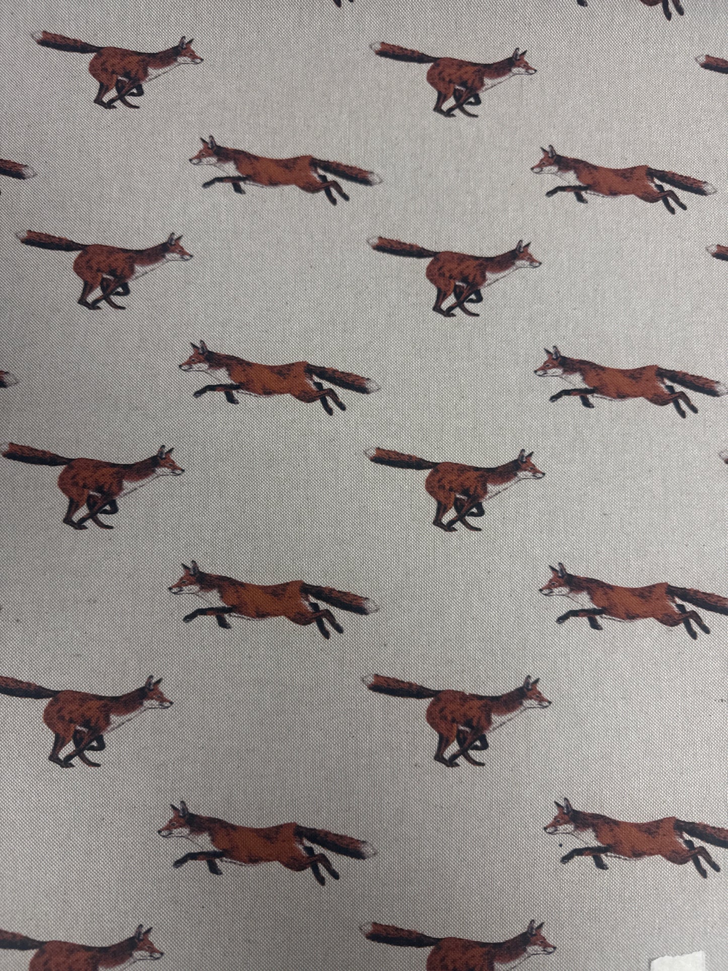 Studio G, fox print, 3-1/8