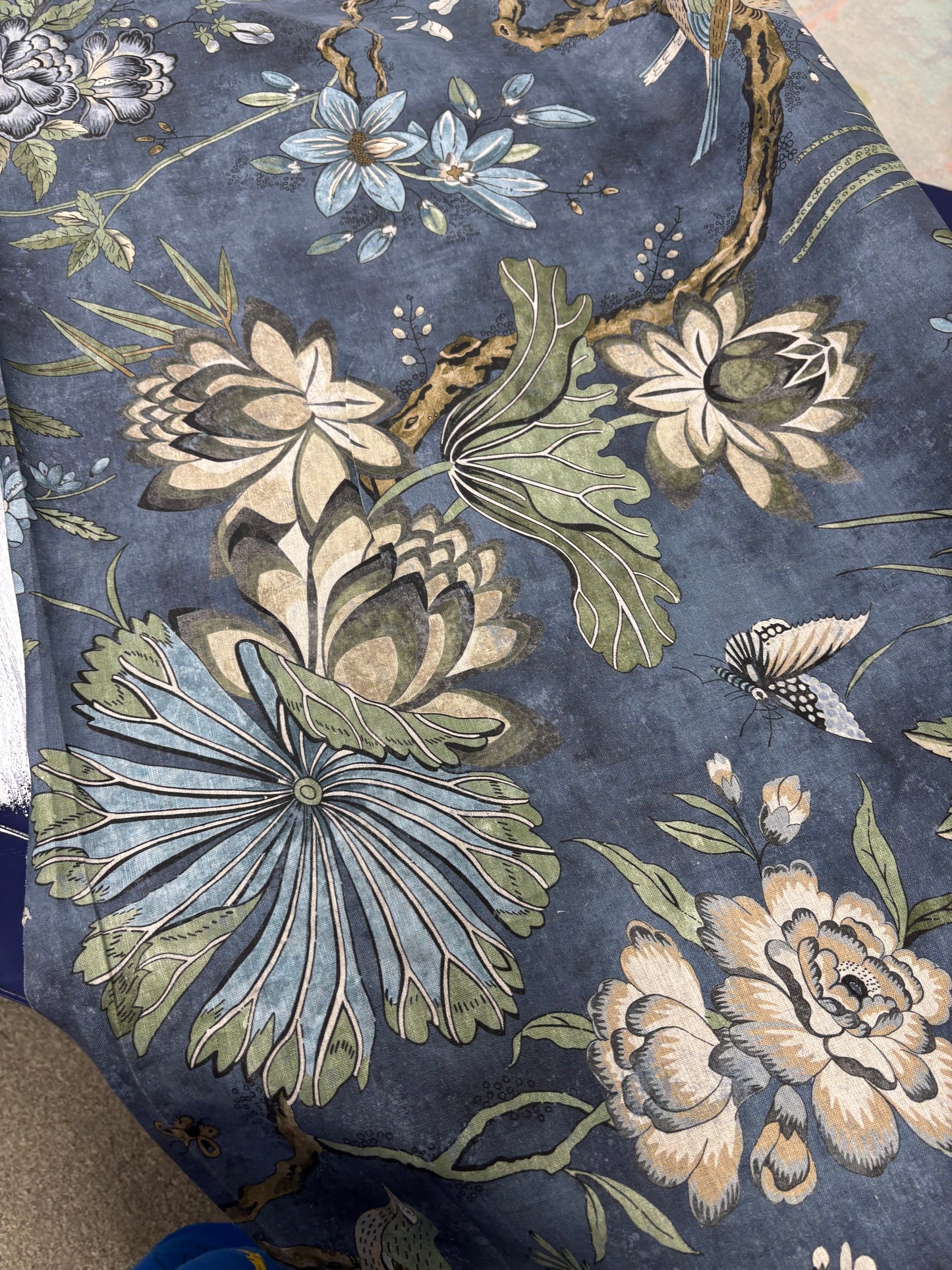 Anna  French, Villeneuve, 1.4 yards