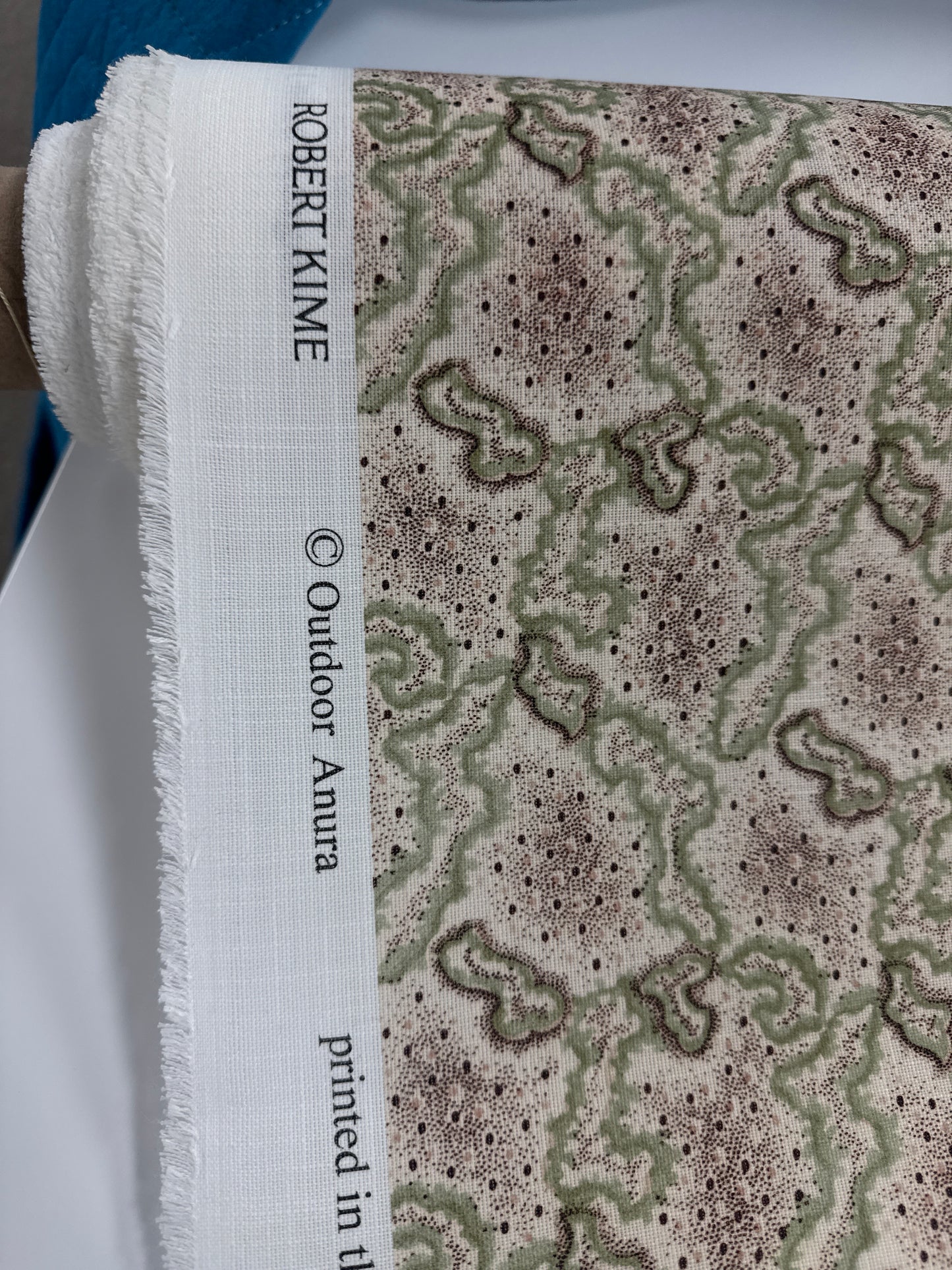 Robert Kime, indoor/outdoor, anura, by the yard