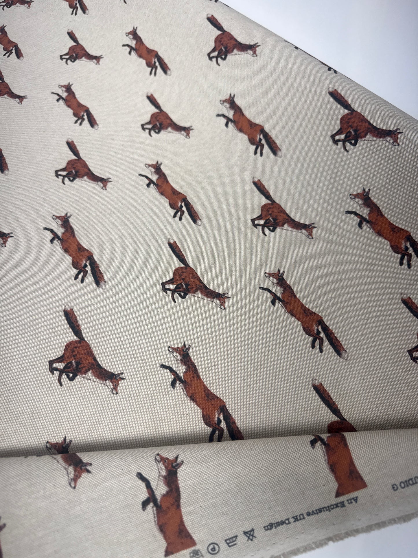 Studio G, fox print, 3-1/8