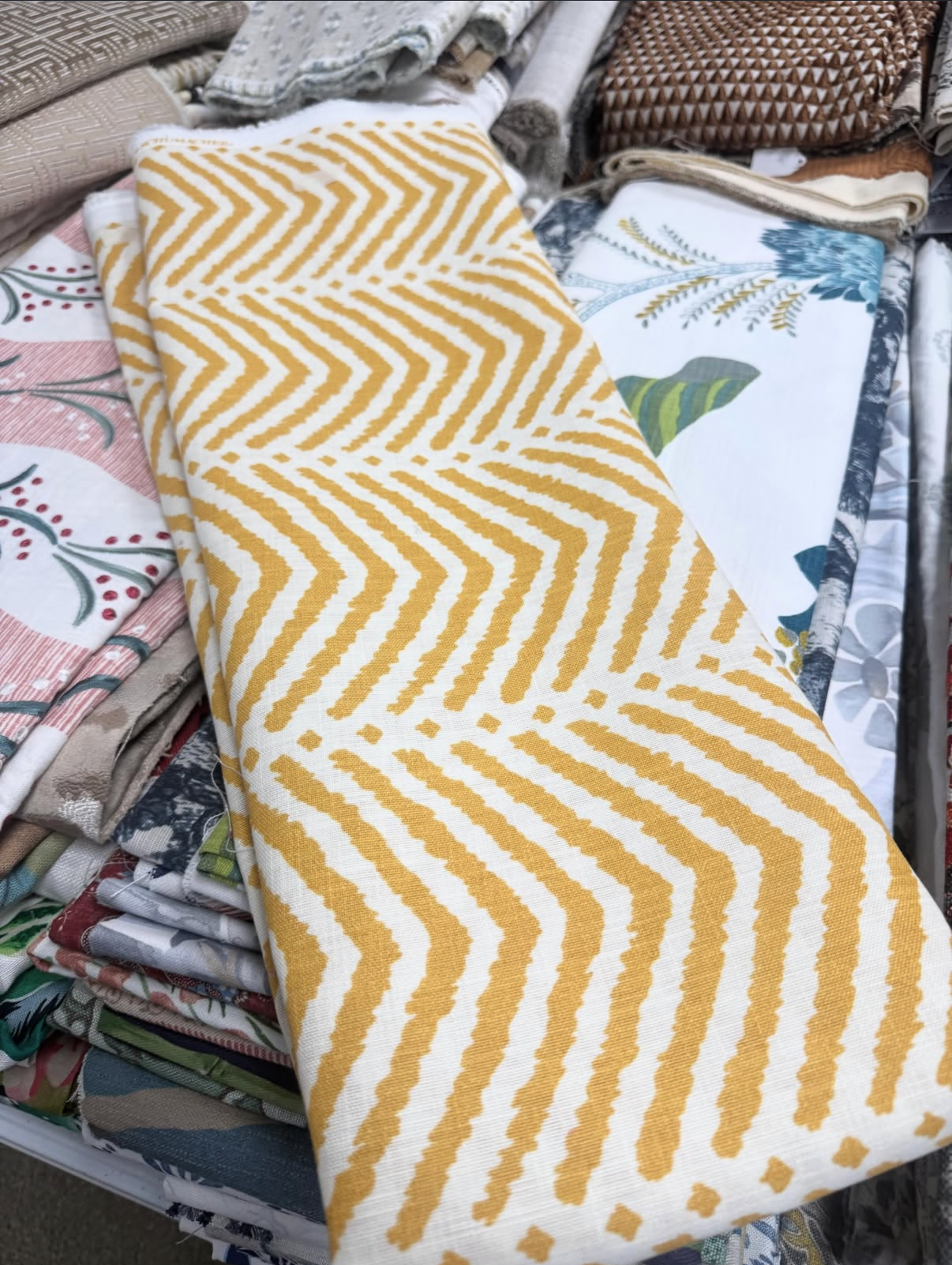 Schumacher, La Jolla, 2-1/8 Yards All
