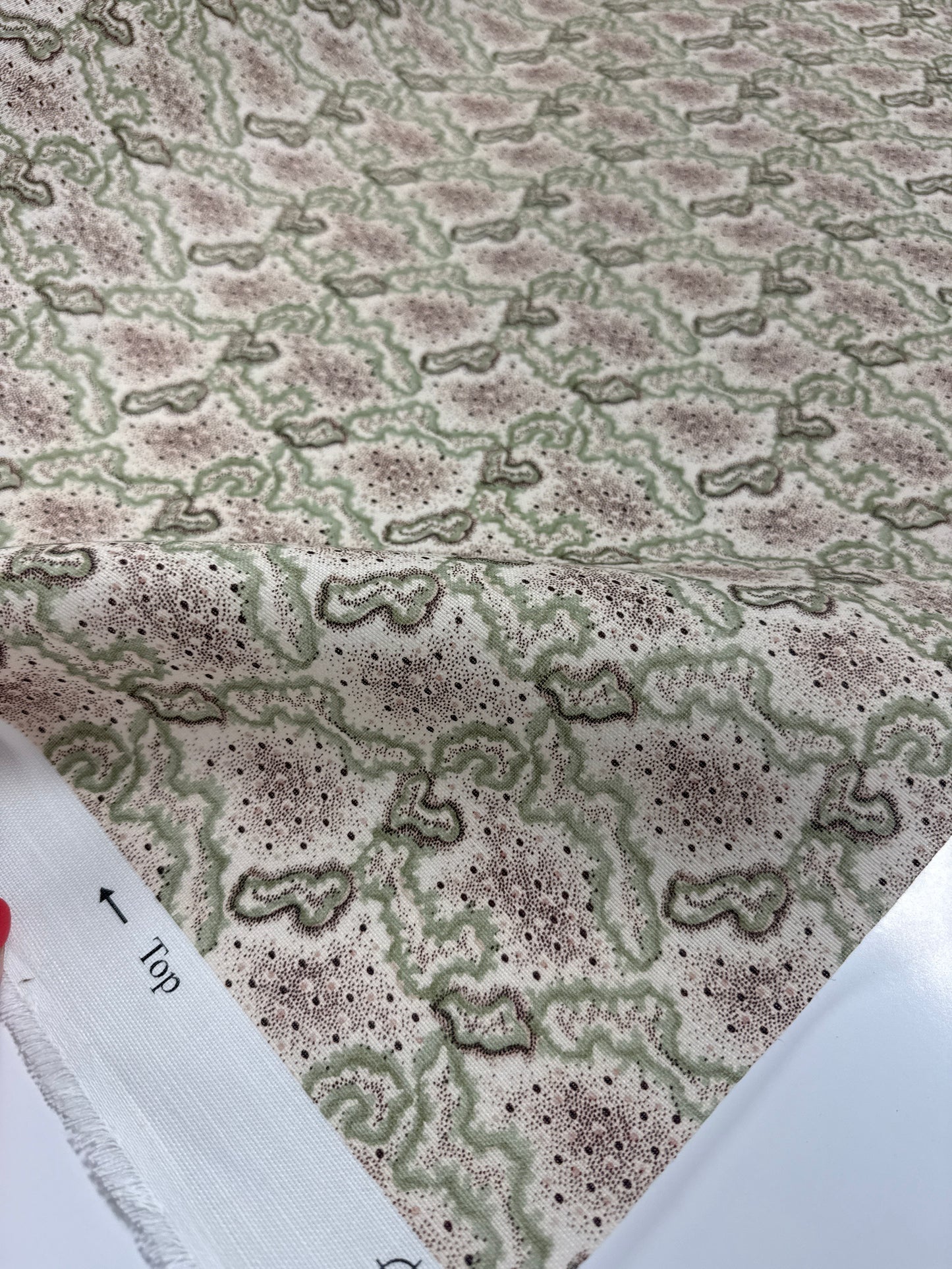 Robert Kime, indoor/outdoor, anura, by the yard