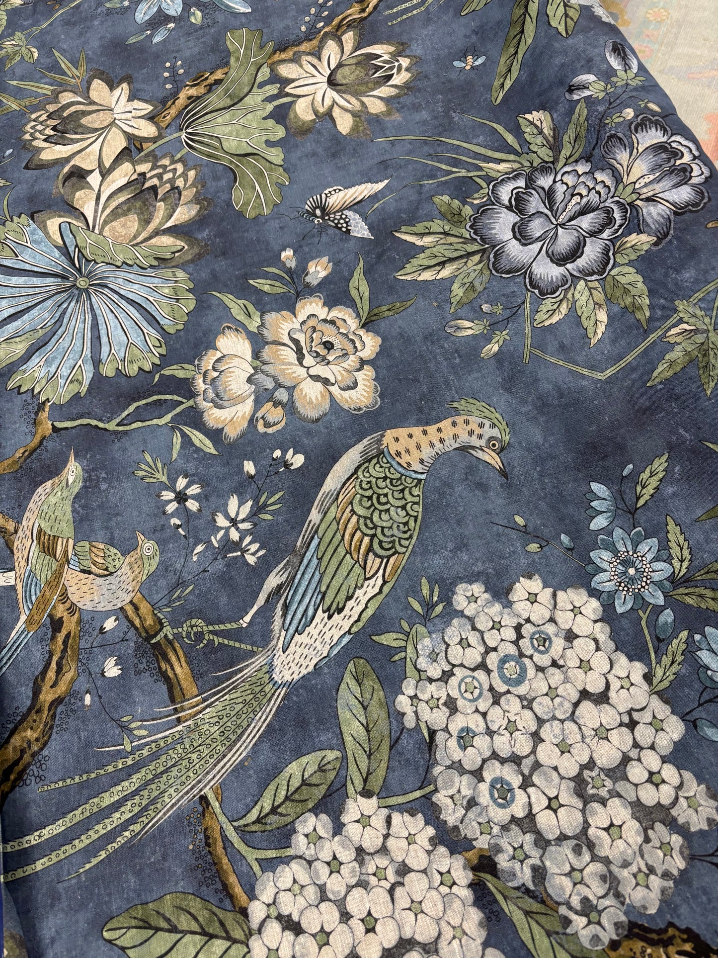 Anna  French, Villeneuve, 1.4 yards
