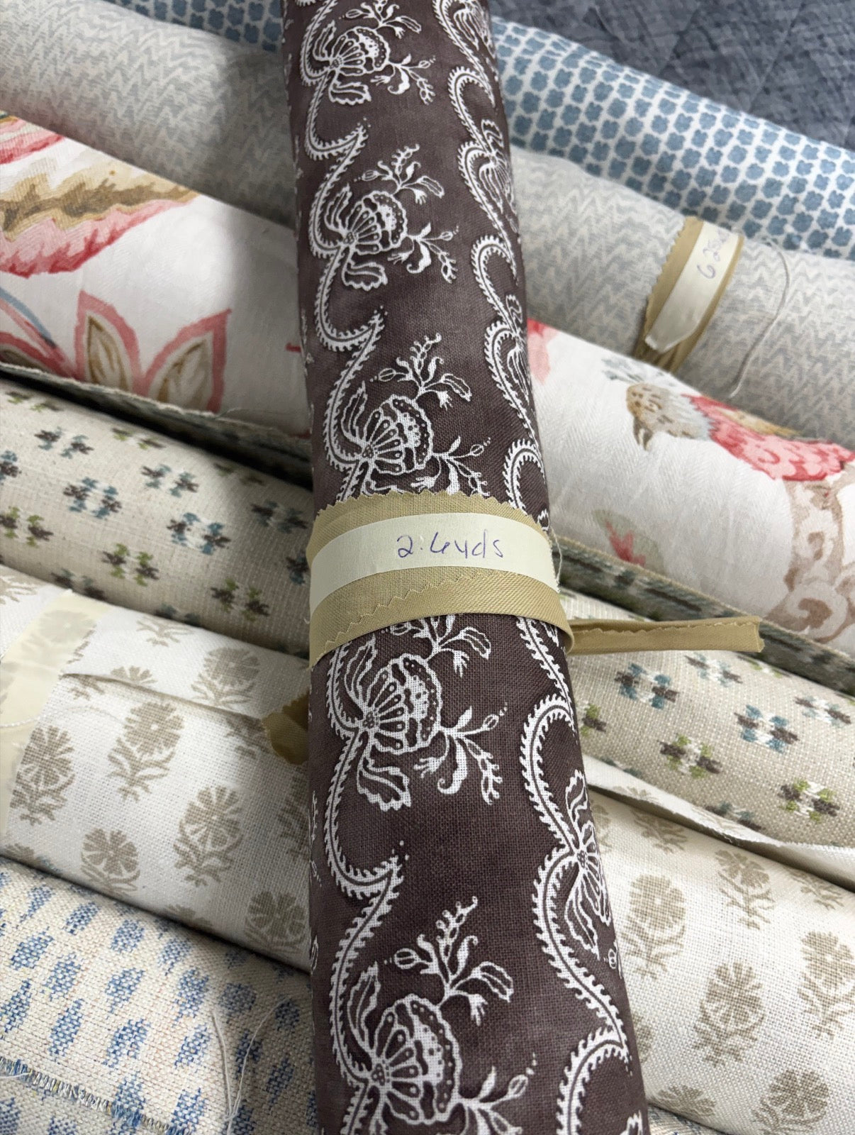 Zak + Fox, cassiopea, 2.6 yards